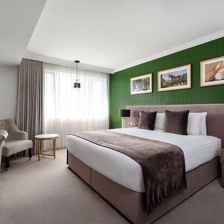 Ivanhoe Inn&Hotel Belfast Buitenkant foto