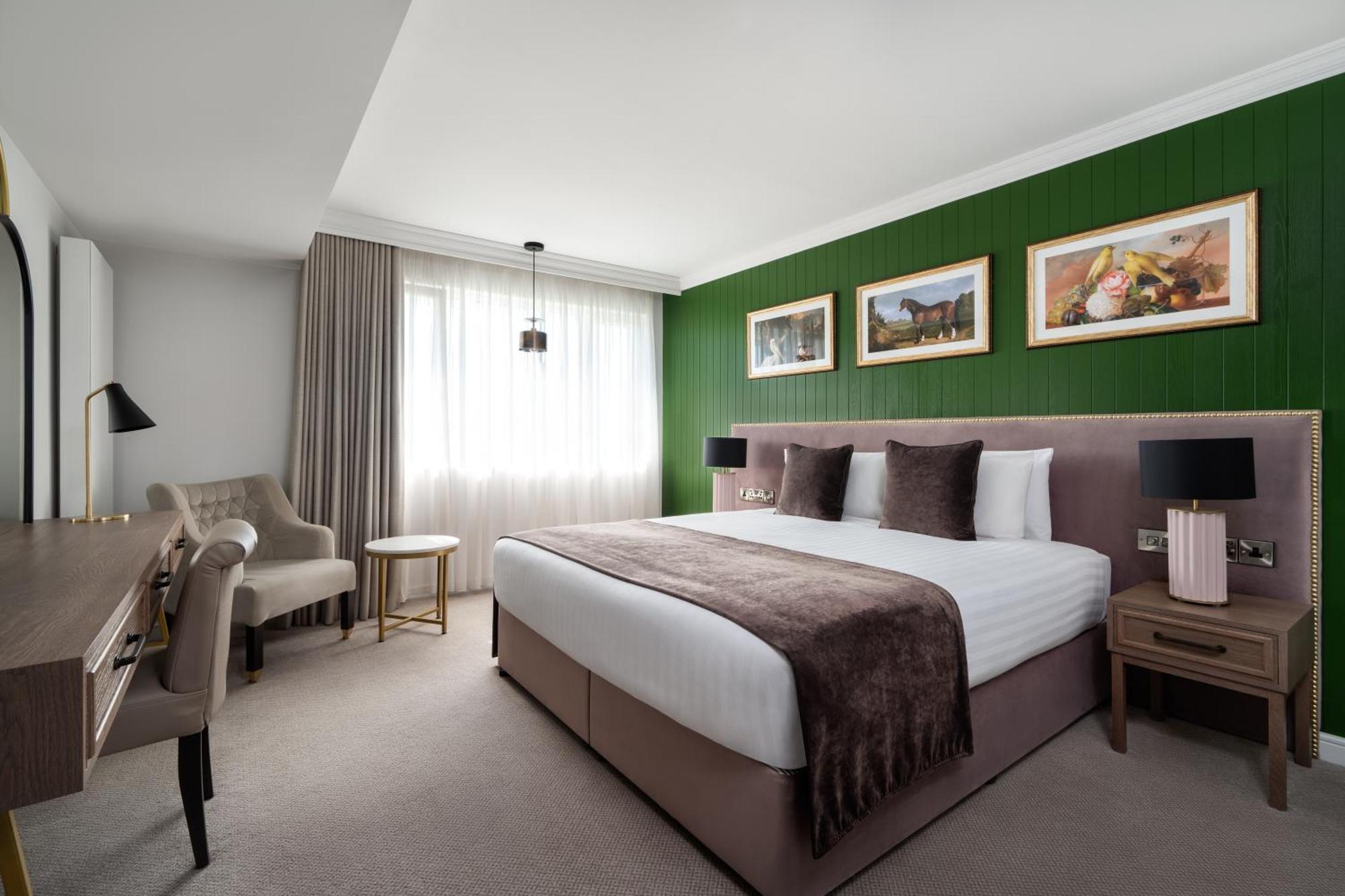 Ivanhoe Inn&Hotel Belfast Buitenkant foto