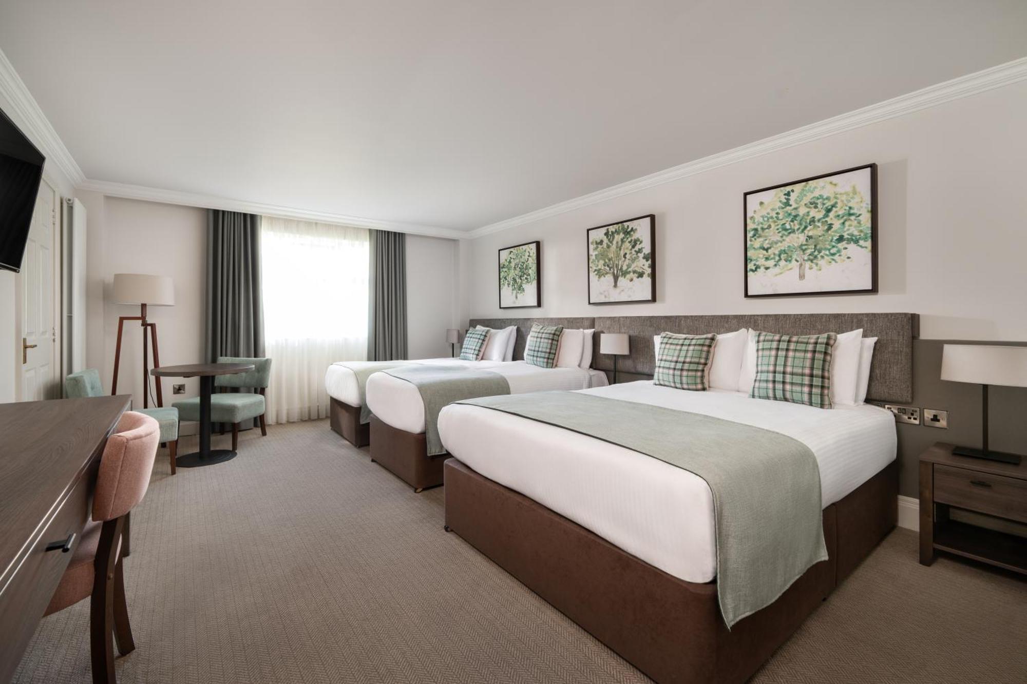 Ivanhoe Inn&Hotel Belfast Buitenkant foto