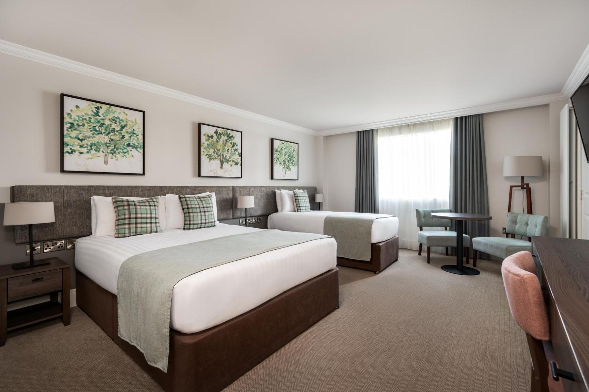 Ivanhoe Inn&Hotel Belfast Buitenkant foto